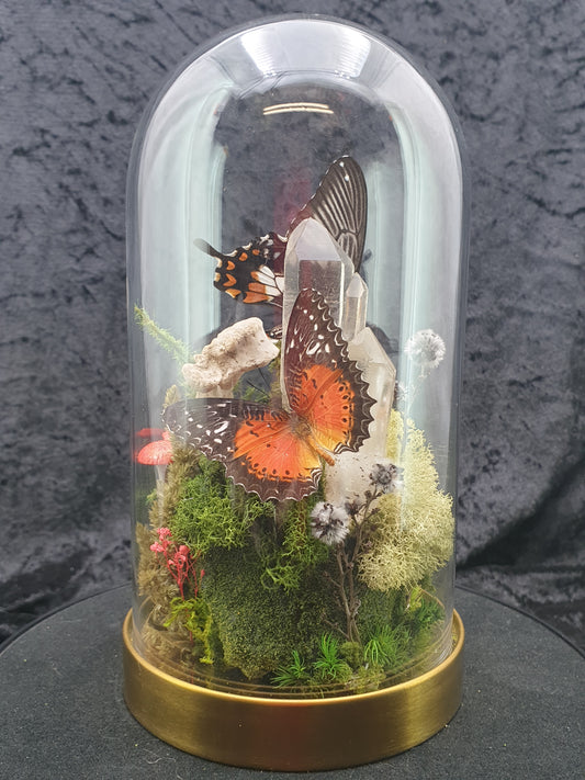Glass dome - Butterflies, crystals and preserved moss terrarium (19cm)