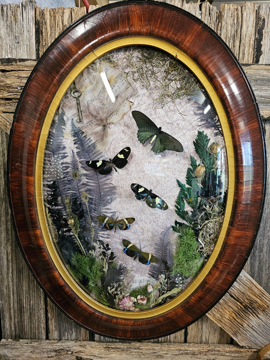Large Vintage Victorian Gothic bubble frame with butterflies & music score