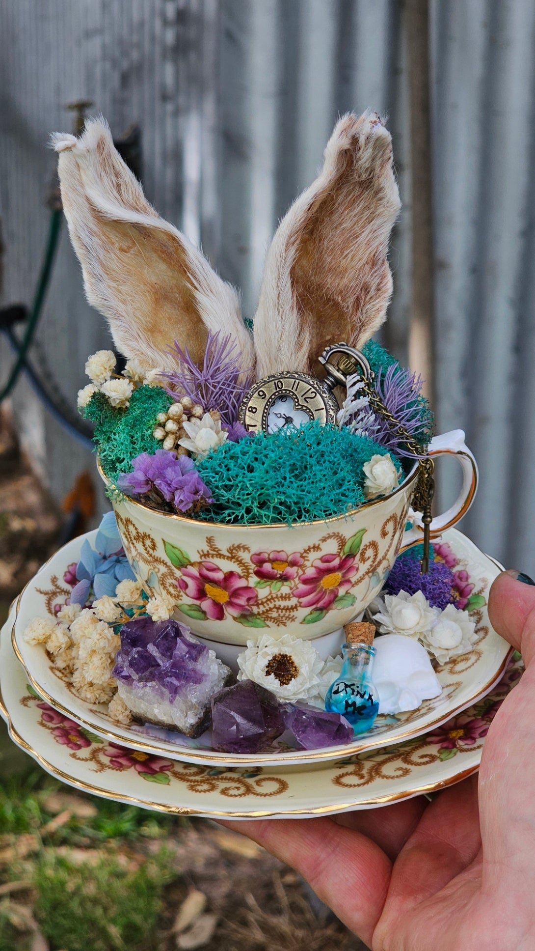 Real bunny ears - Alice in Wonderland cups