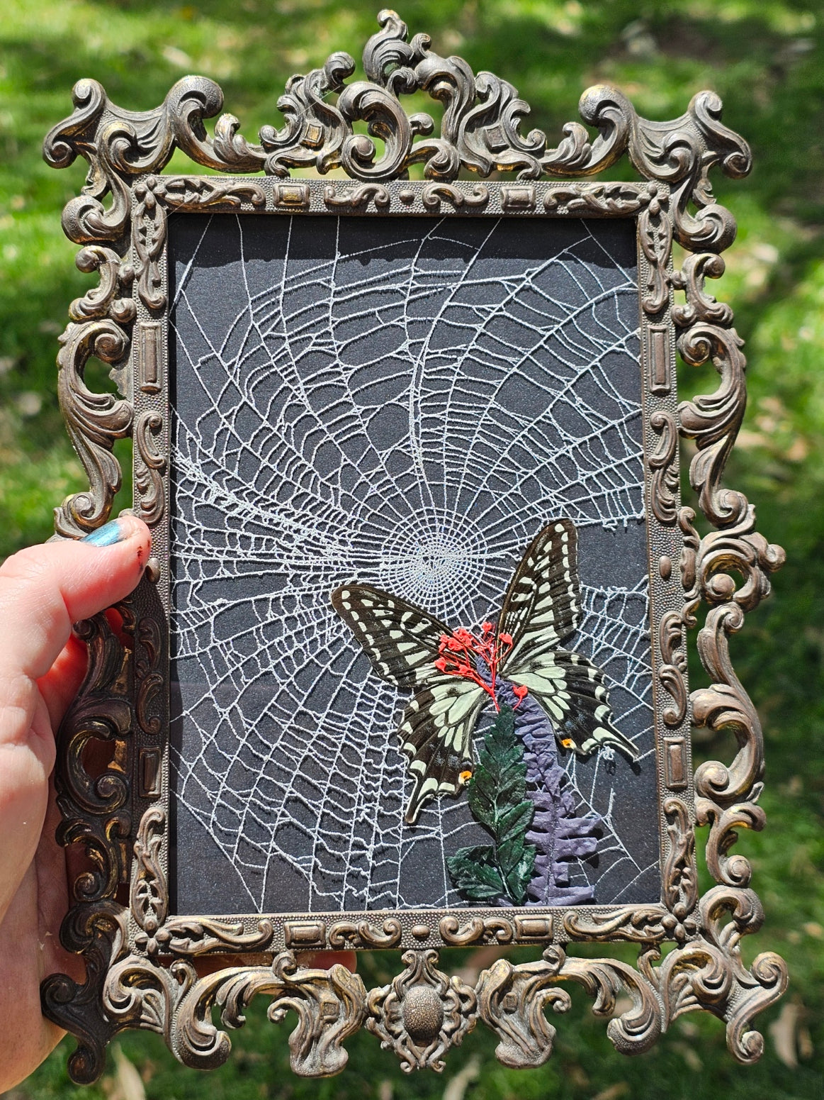Vintage Gothic frames with real spider webs