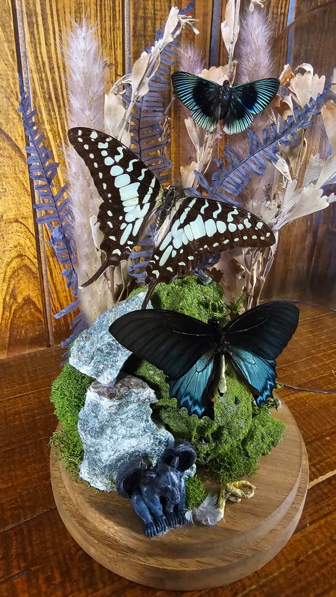 Large glass butterfly dome - Butterflies, bone, insects and crystals terrarium (26cm)