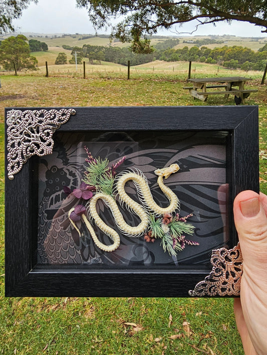 Snake skeleton in the garden - framed