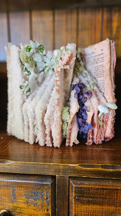 Dead Fairy Diaries - crystalized rare vintage books