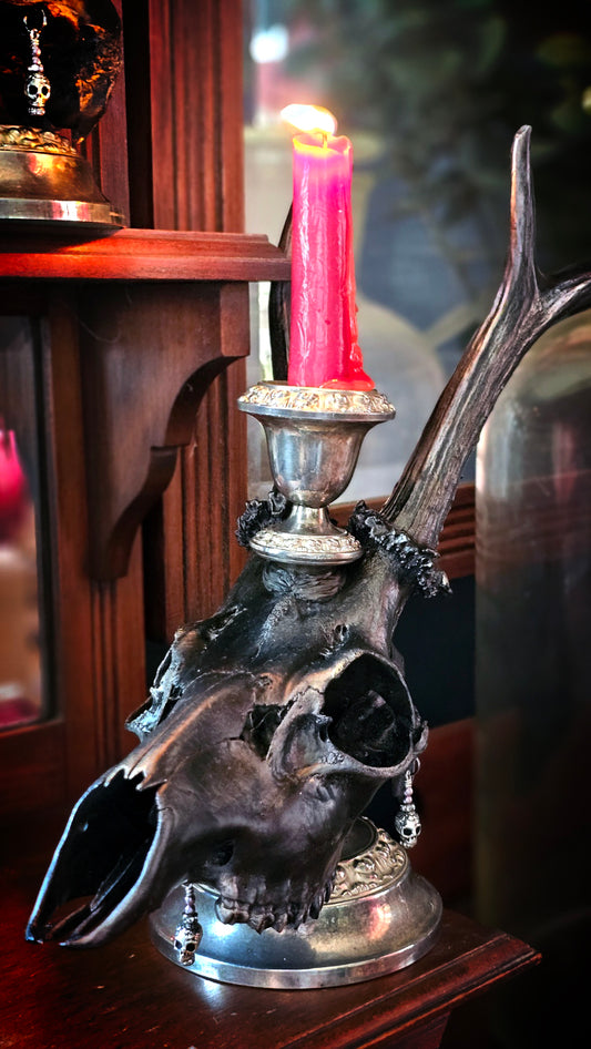 Roe deer skull on silver candle holder (25cm)