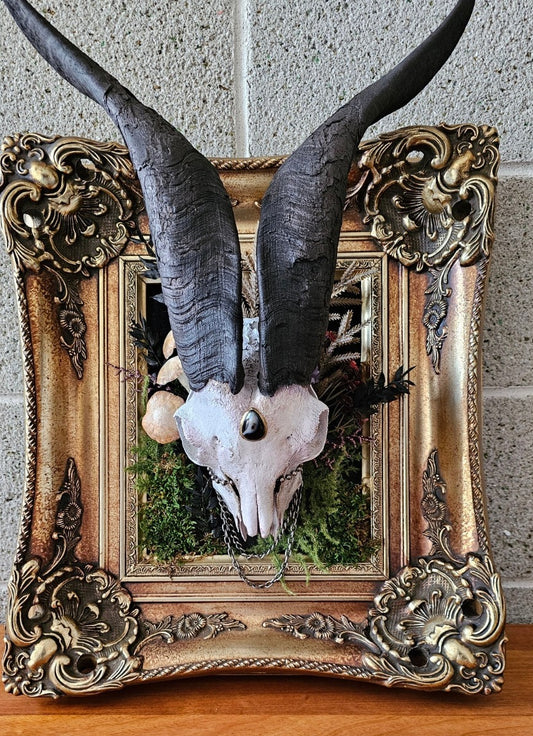 Real goat skull on antique gothic style frame