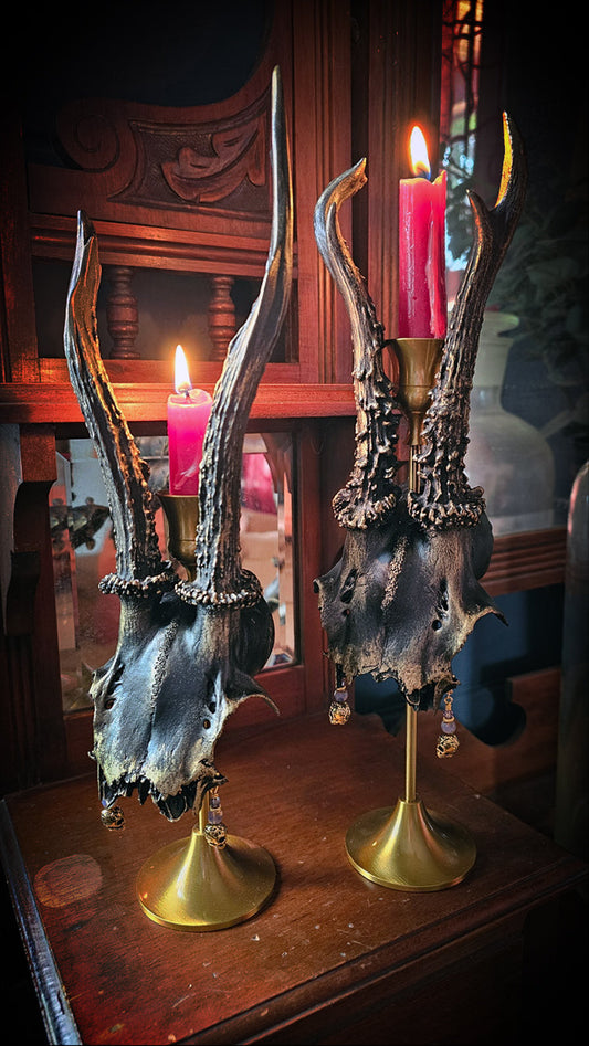 Roe deer skull brass candle holder