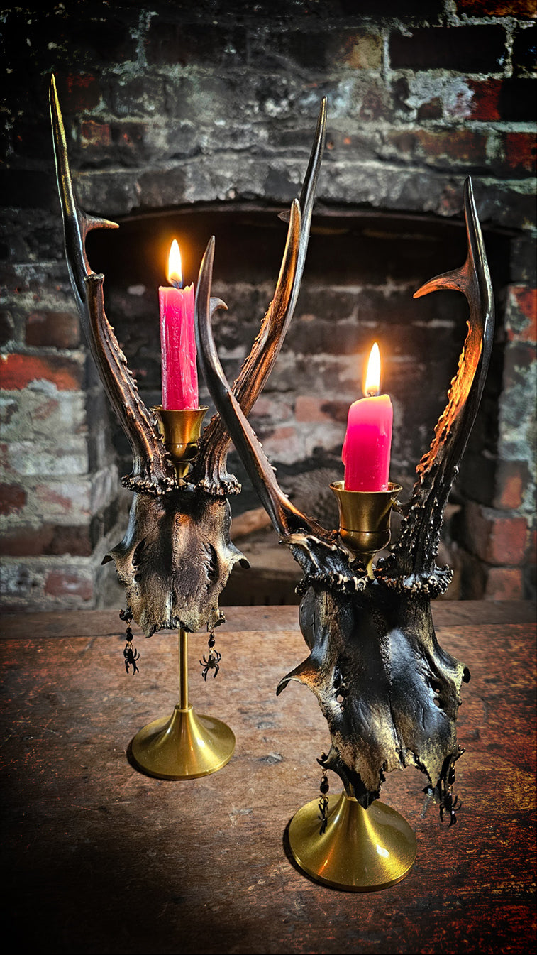 Roe deer skull brass candle holder